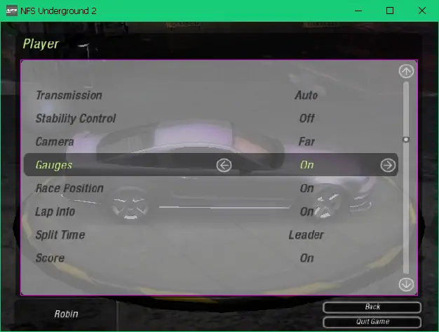 The game showing the 'Player' options screen