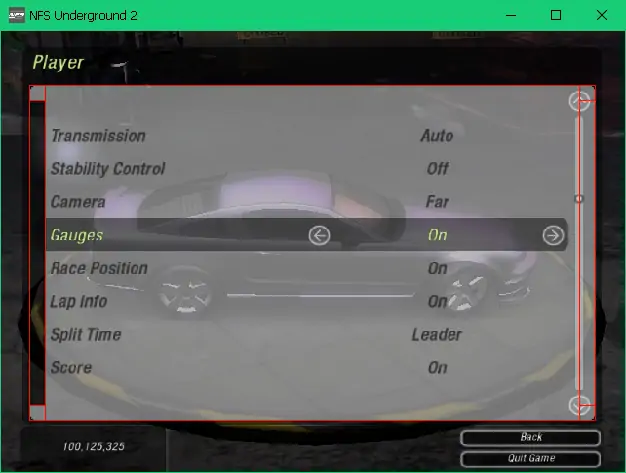 The game showing the 'Player' options screen, with red lines showing different UI elements